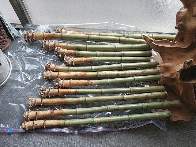 Originalaufnahme aus dem Shakuhachi-Archiv