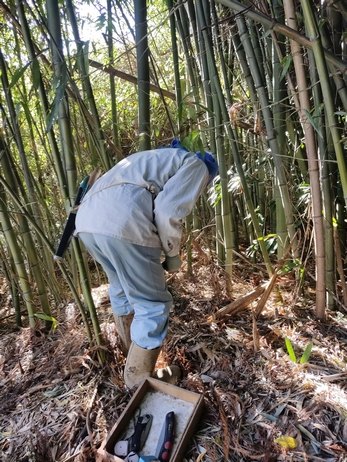 Originalaufnahme aus dem Shakuhachi-Archiv