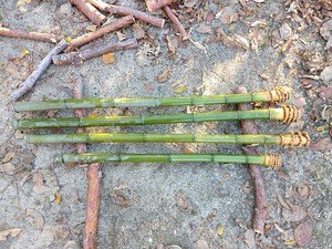 Originalaufnahme aus dem Shakuhachi-Archiv
