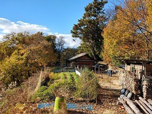 Originalaufnahme aus dem Shakuhachi-Archiv