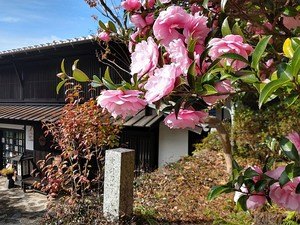 Originalaufnahme aus dem Shakuhachi-Archiv