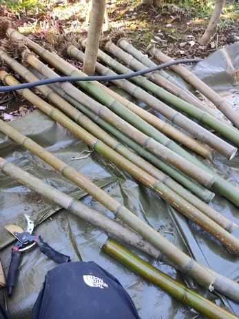 Archivbild 32 aus dem Shakuhachi-Bestand