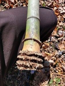 Archivbild 76 aus dem Shakuhachi-Bestand