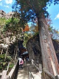 Archivbild 127 aus dem Shakuhachi-Bestand