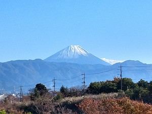 Archivbild 132 aus dem Shakuhachi-Bestand