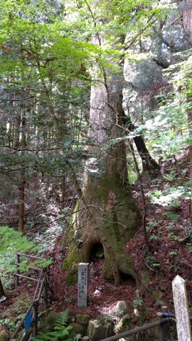 Archivbild 224 aus dem Shakuhachi-Bestand