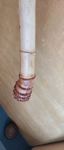 Archivbild 275 aus dem Shakuhachi-Bestand