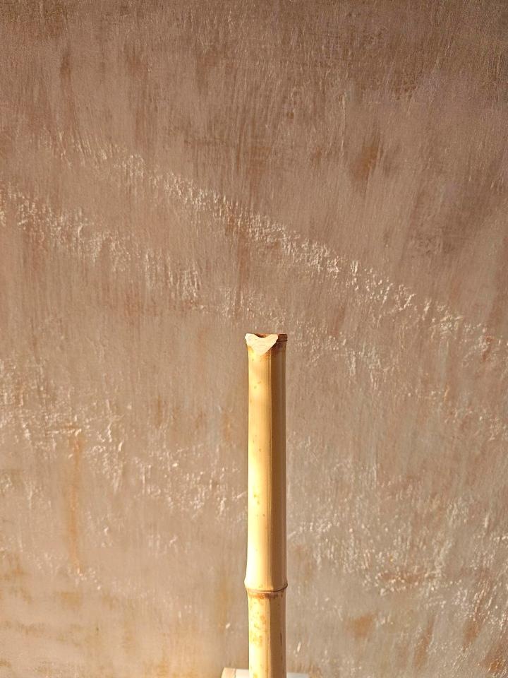 Shakuhachi Chikuma 2.8 G · Foto 2