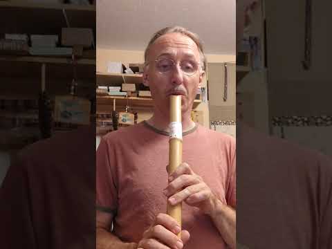 Vorschaubild: Instrument 01 · 1.9 · C♯